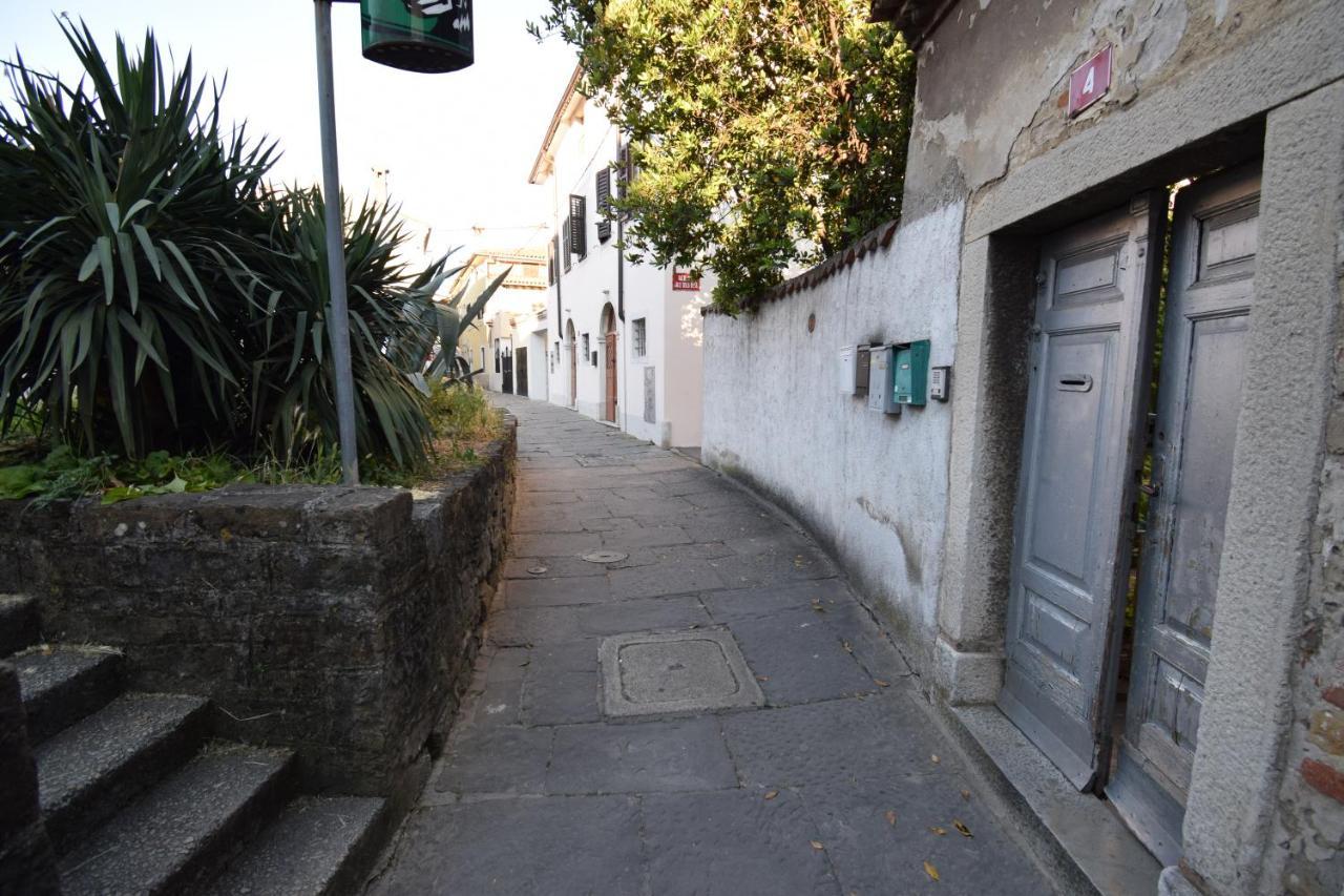 Secret Garden Apartment 科佩尔 外观 照片